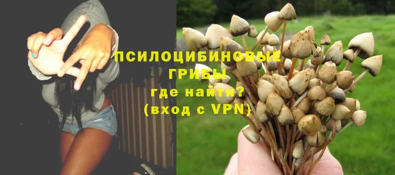 Галлюциногенные грибы MAGIC MUSHROOMS  Вилюйск 